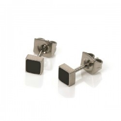 Titanium ceramic earrings